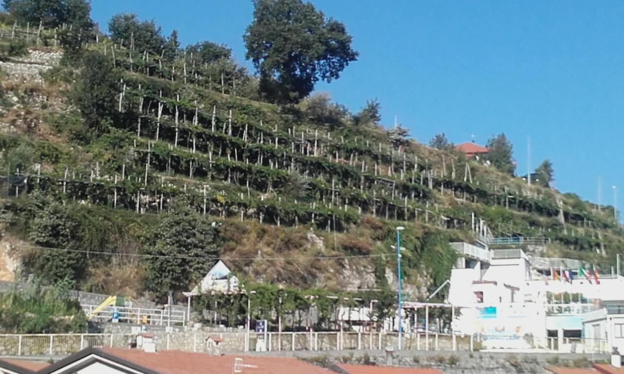 Al Geranio B&B Furore Dış mekan fotoğraf