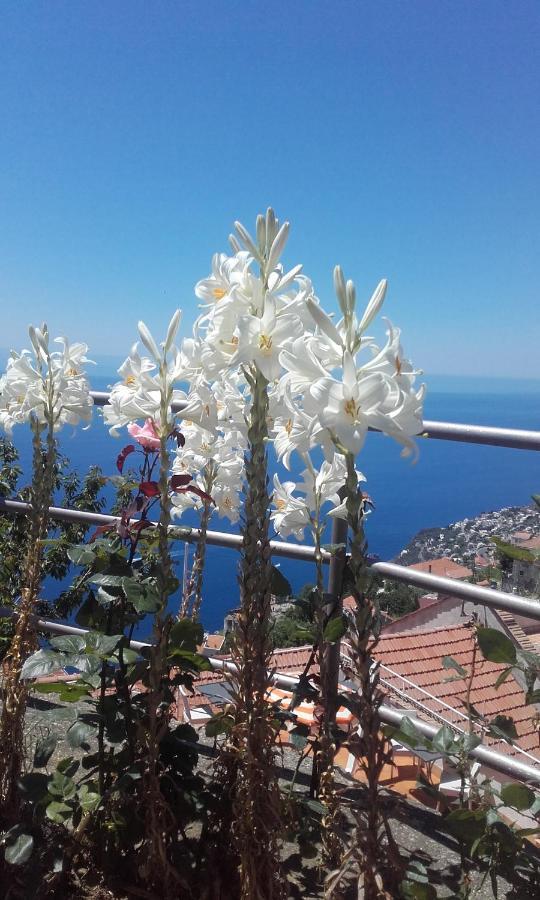 Al Geranio B&B Furore Dış mekan fotoğraf